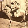 ������ ����� ����� �������� �������� ��� 1930
